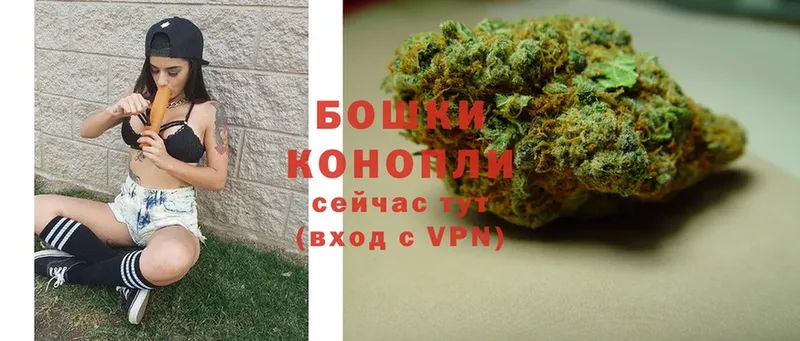 blacksprut ССЫЛКА  закладка  Новопавловск  Конопля план 